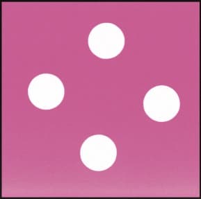 コスモス地 / 白玉