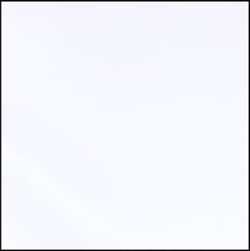 スノウホワイト