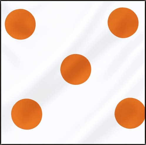 白地 / オレンジ玉